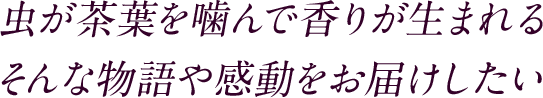 虫が茶葉を噛んで香りが生まれる そんな物語や感動をお届けしたい