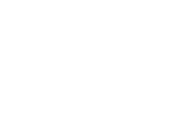 アメリカには公用語がない。