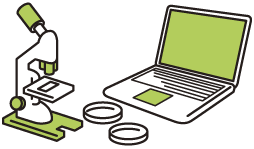 薬科学科 資格イメージ