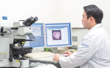 食品機能学イメージ