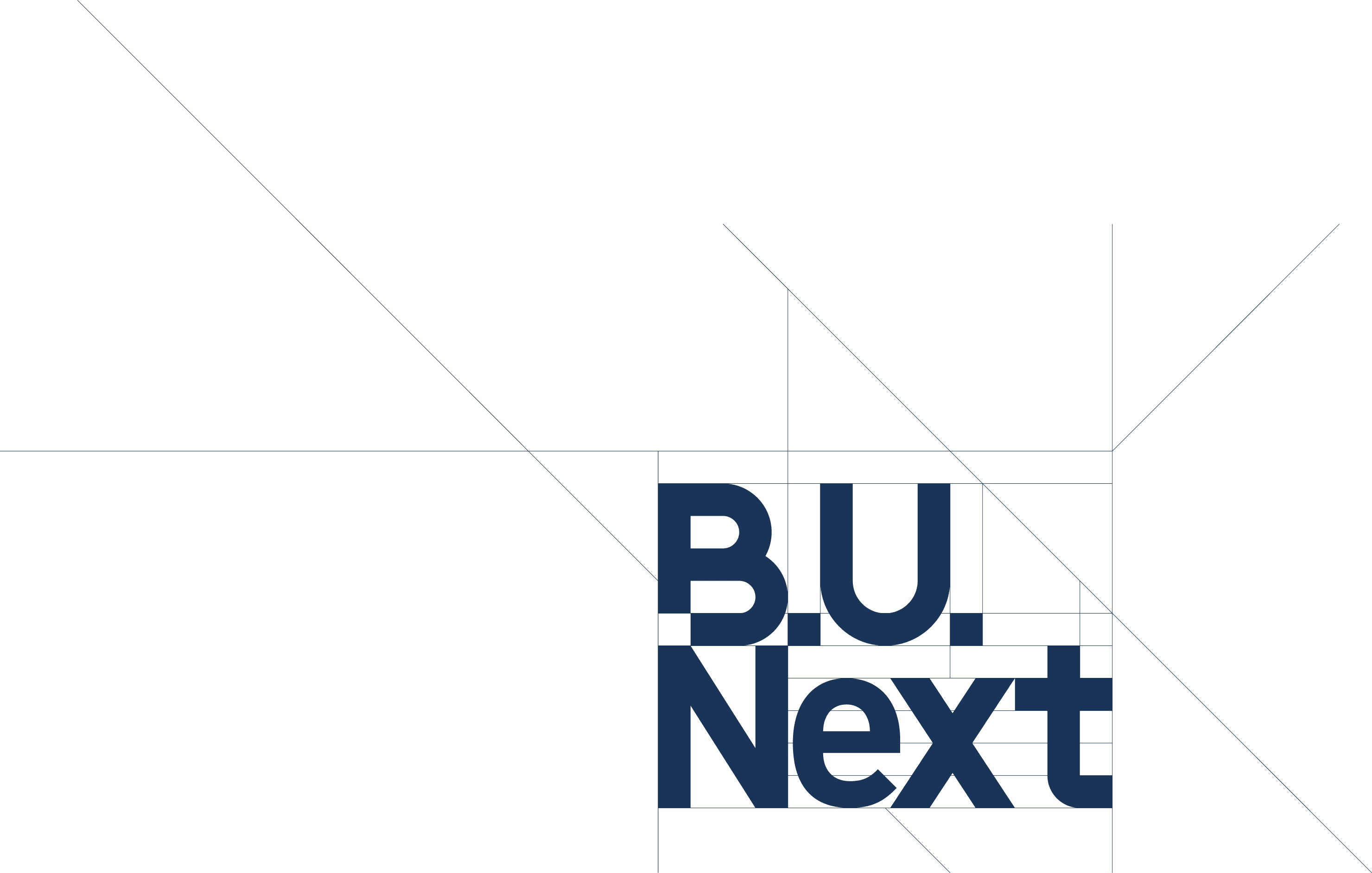 B.U.Next