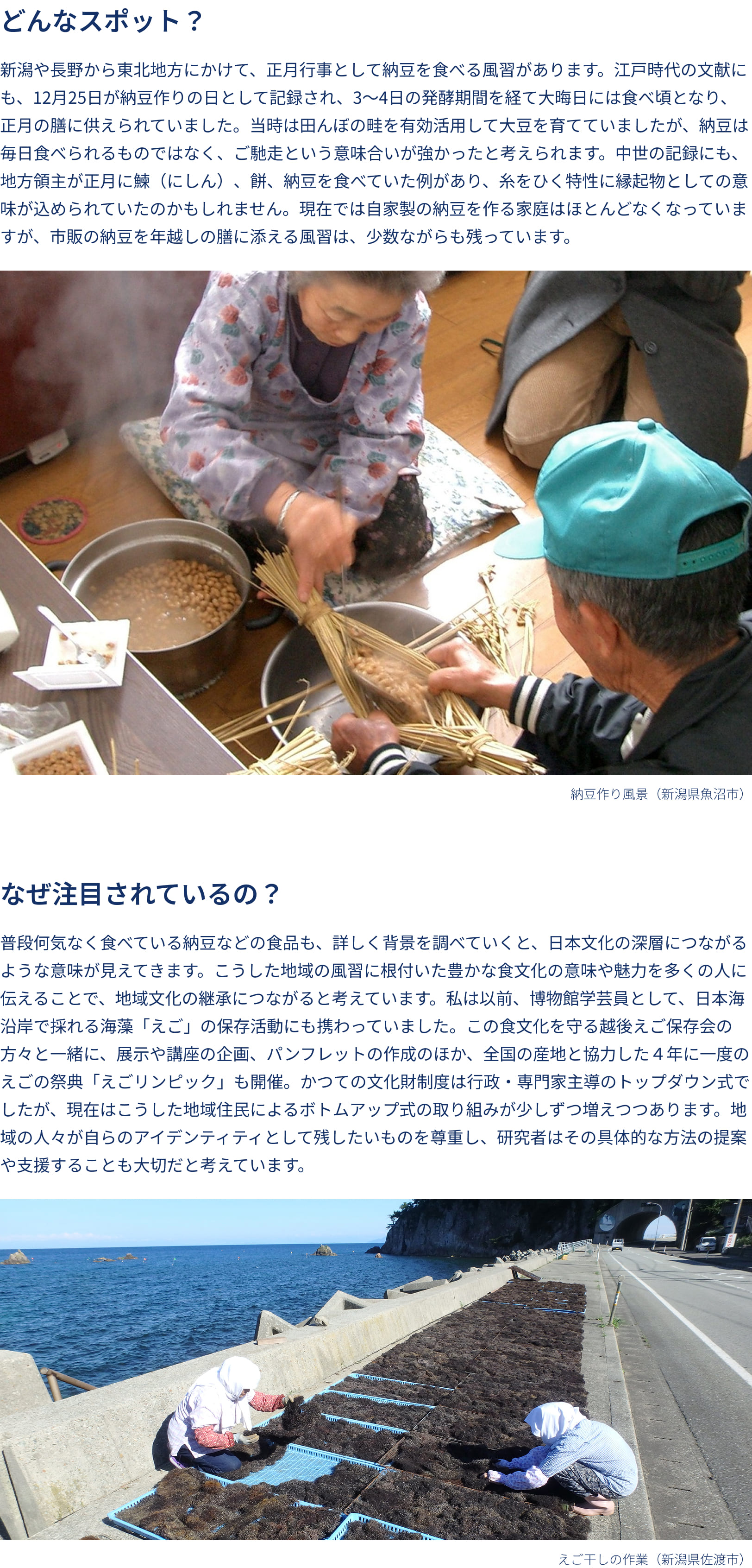 どんなスポット？ なぜ注目されているの？