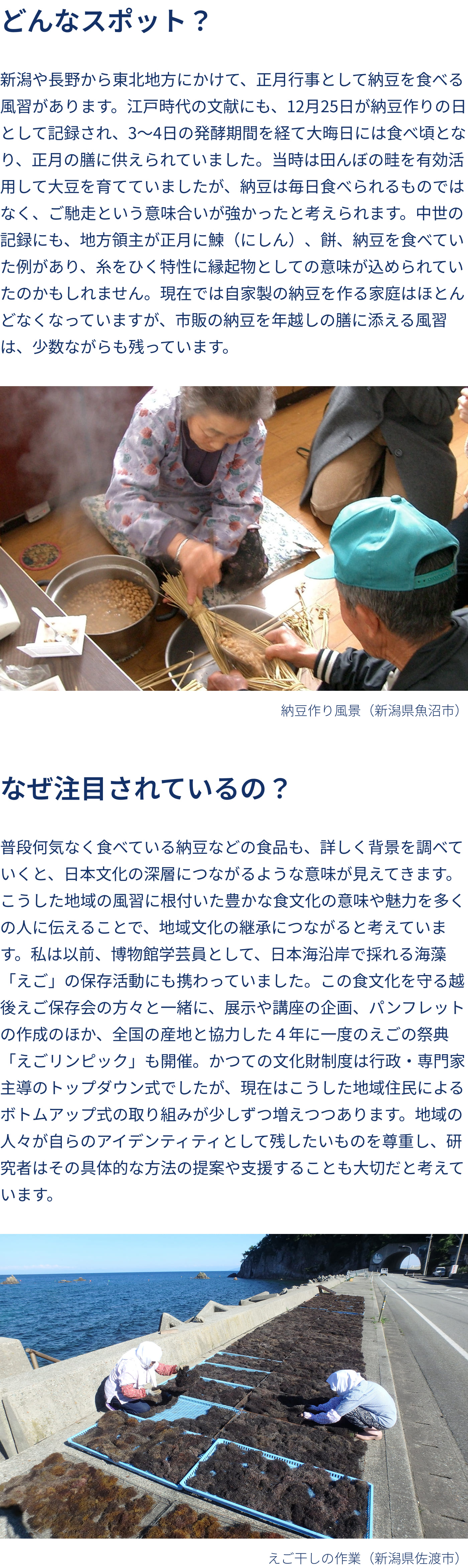 どんなスポット？ なぜ注目されているの？