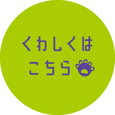 くわしくはこちら