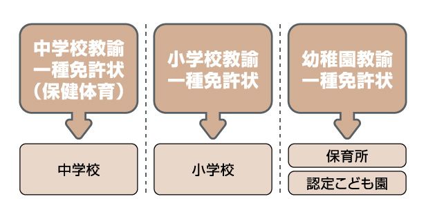 中学校教諭一種免許状（保健体育）&rarr;中学校、小学校教諭一種免許状&rarr;小学校、幼稚園教諭一種免許状&rarr;保育所・認定こども園