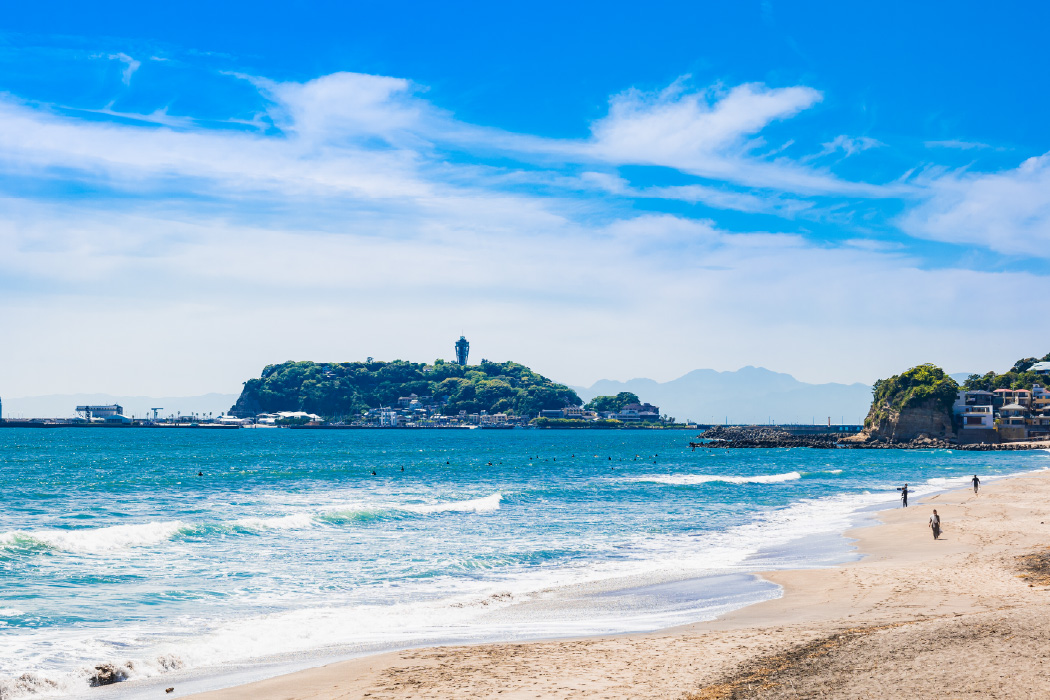 保健医療学部イメージ