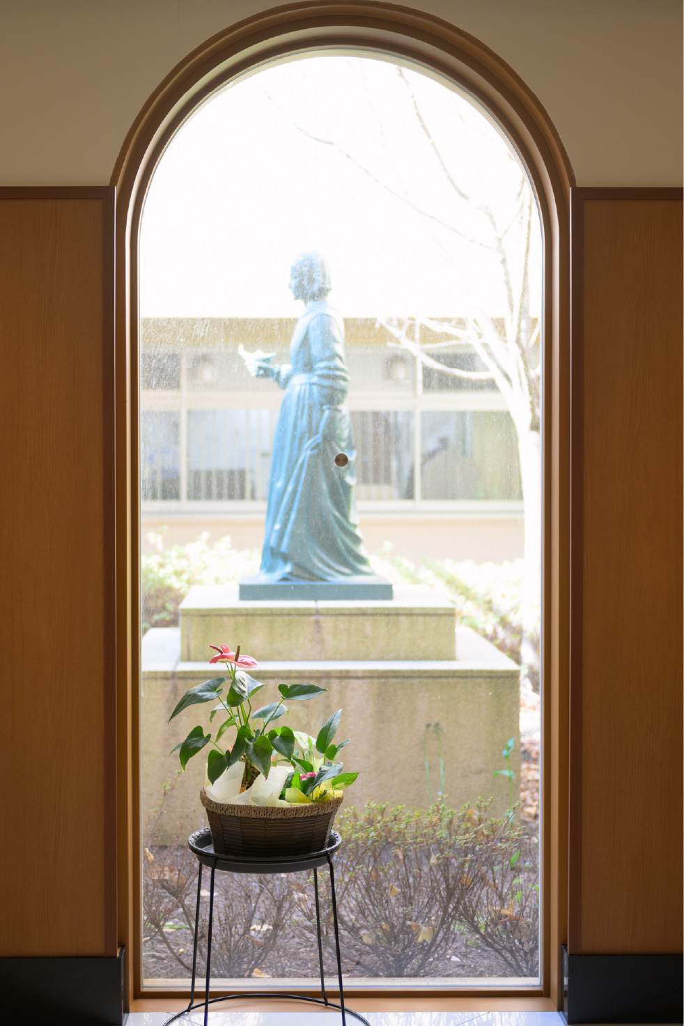 保健医療学部イメージ