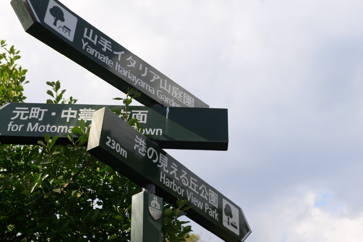 保健医療学部イメージ