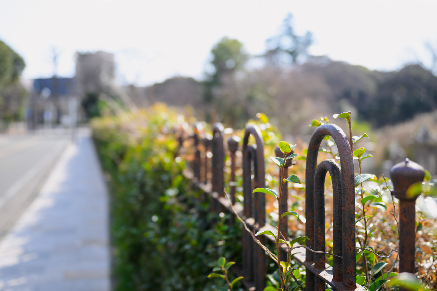 保健医療学部イメージ