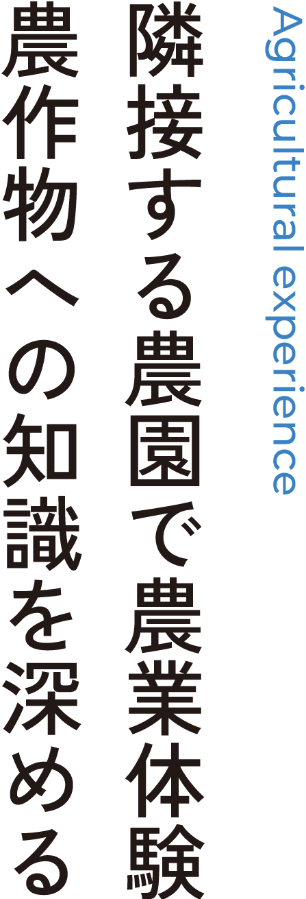 Agricultural experience 隣接する農園で農業体験農作物への知識を深める